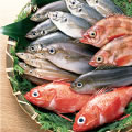 海の恵み